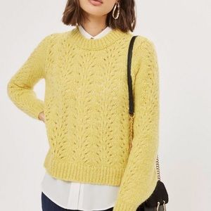 Topshop Petite Pointelle Mohair Sweater